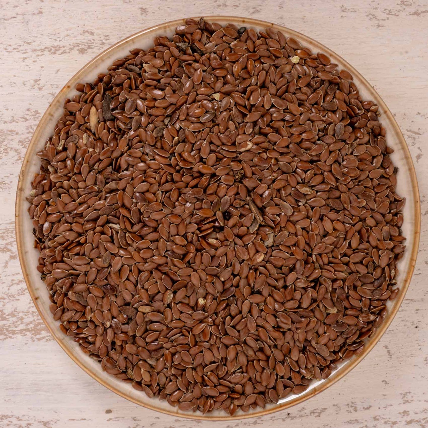 Leinsaat – Papageienfutter