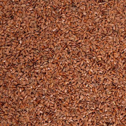 Leinsaat – Papageienfutter