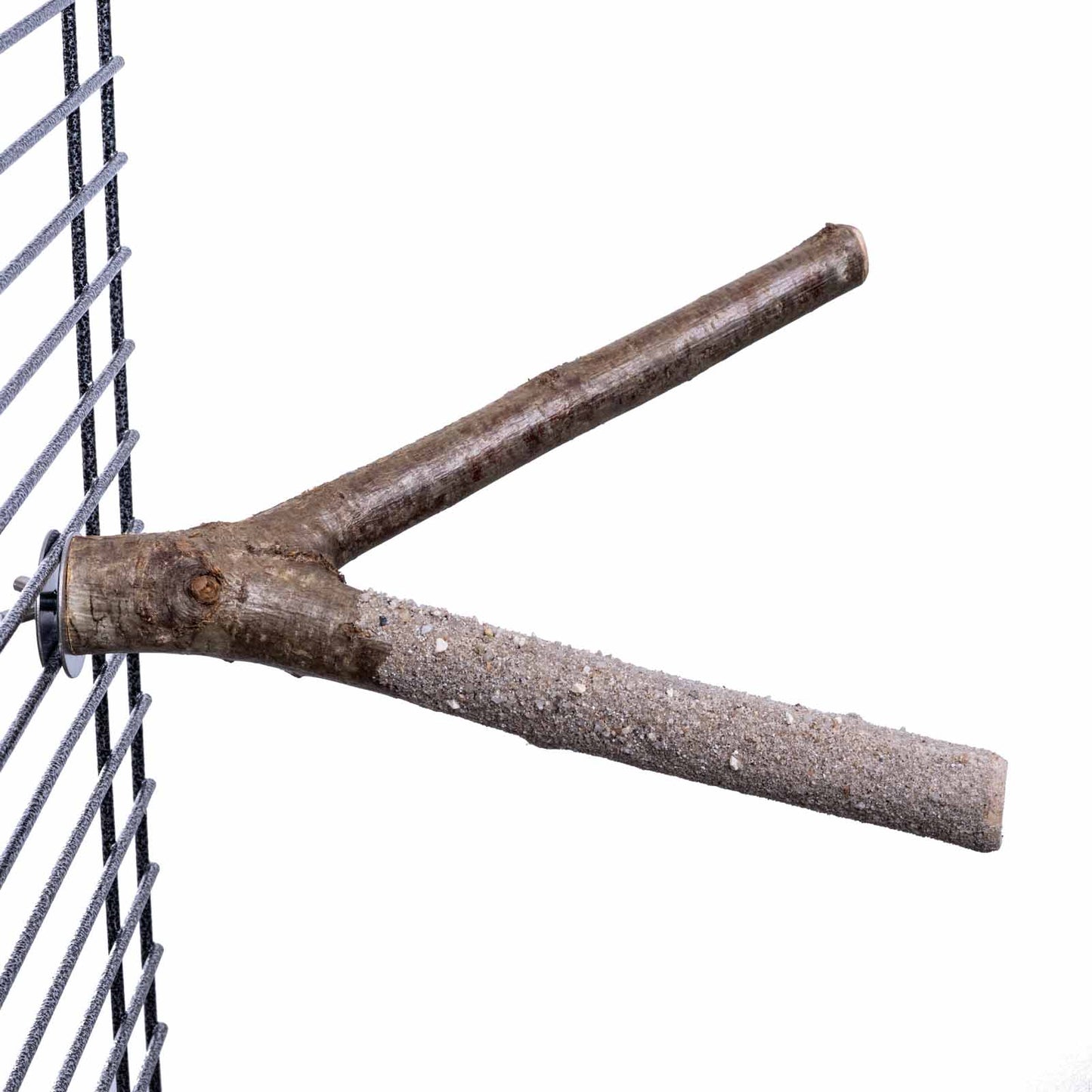 Krallenpflege Ast für Papageien