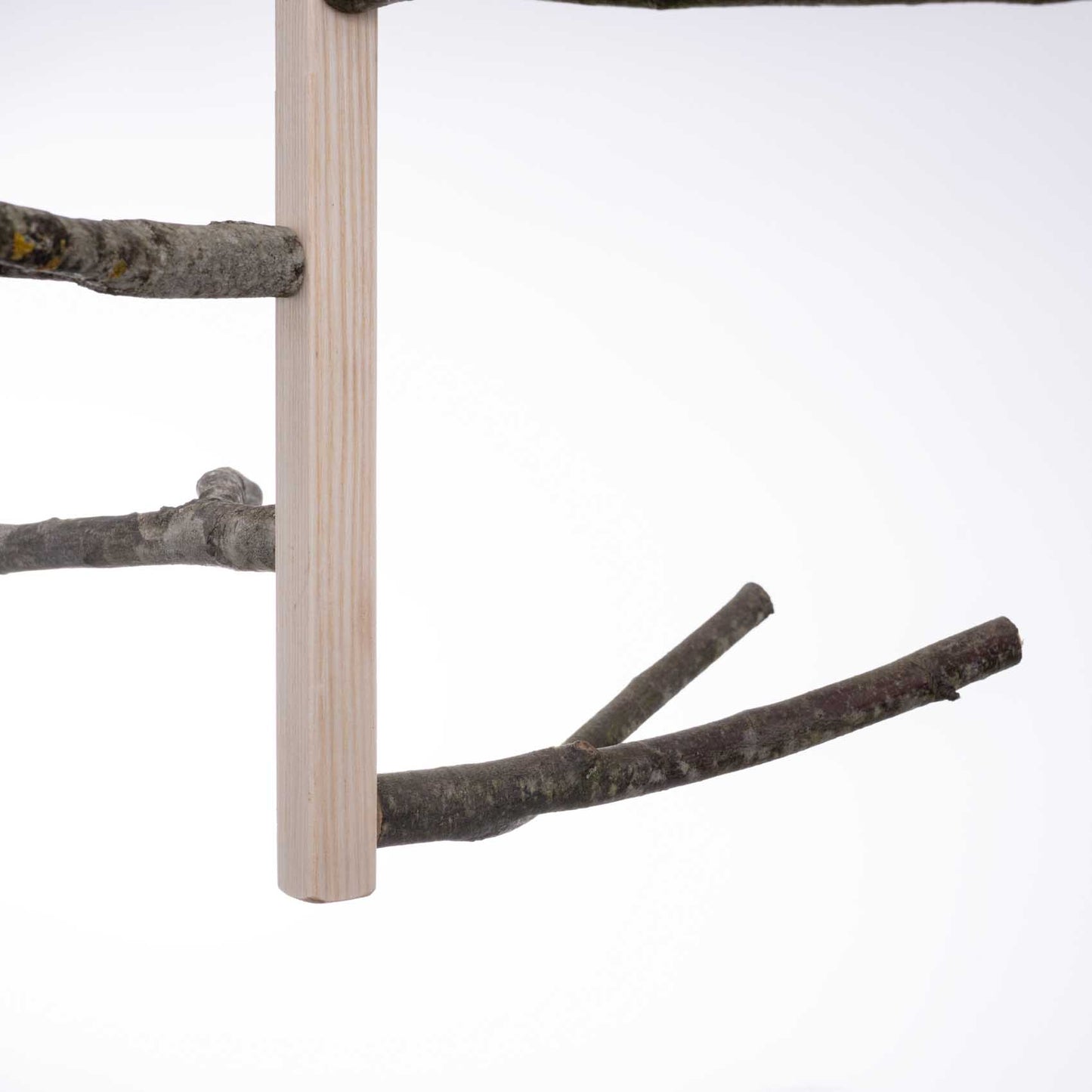 Großer Sittichwirbel – für Sittiche