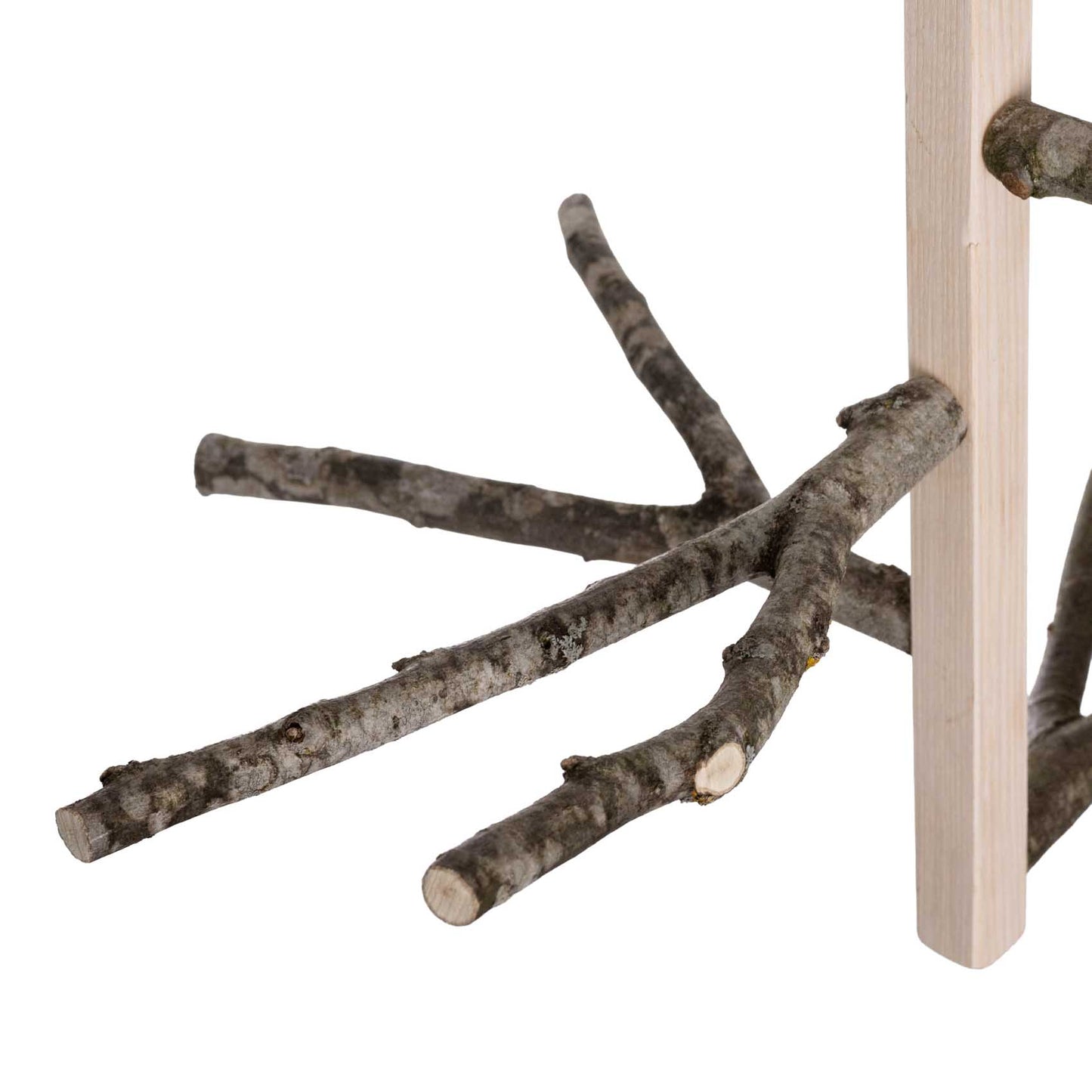 Großer Sittichwirbel – für Sittiche