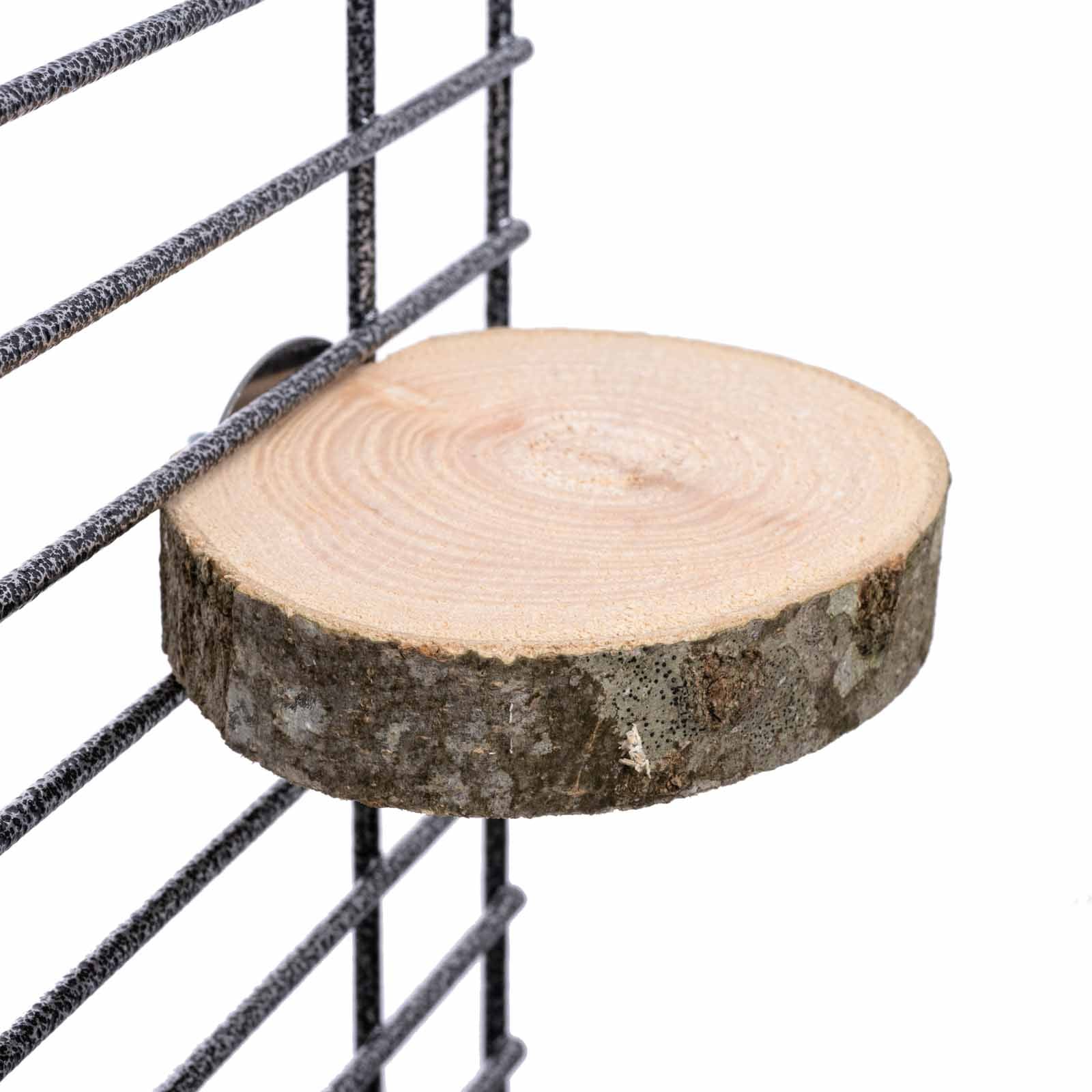 Baumscheiben Sitzbrett für Papageien und Sittiche