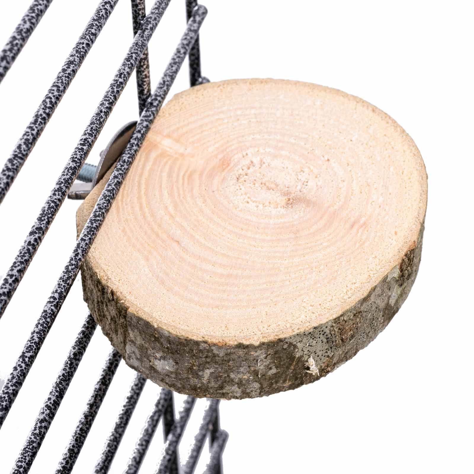 Baumscheiben Sitzbrett für Papageien und Sittiche