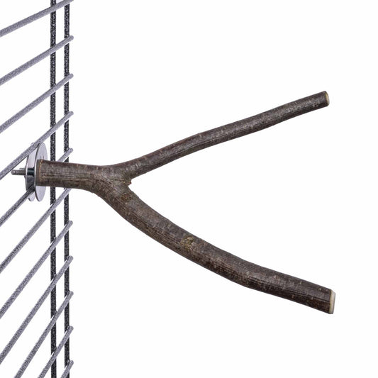 Natur Sittich Sitzast verzweigt