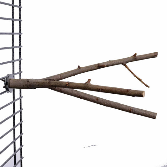 Naturbelassener Sitzast verzweigt klein