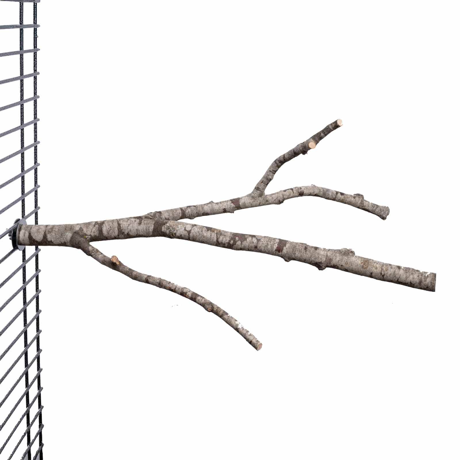 Naturbelassener Sitzast verzweigt mittel