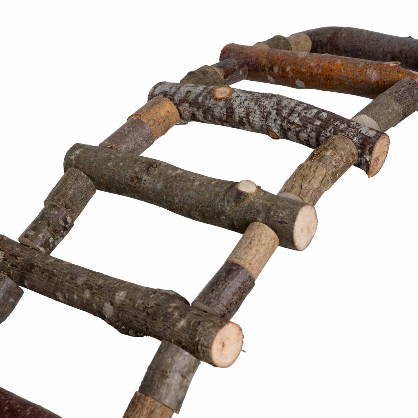 Big Ladder – Flexible Papageien-Leiter