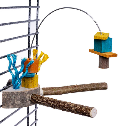 Spielbogen für Sittiche – Beschäftigung & Sitzkomfort für kleine Vogelarten