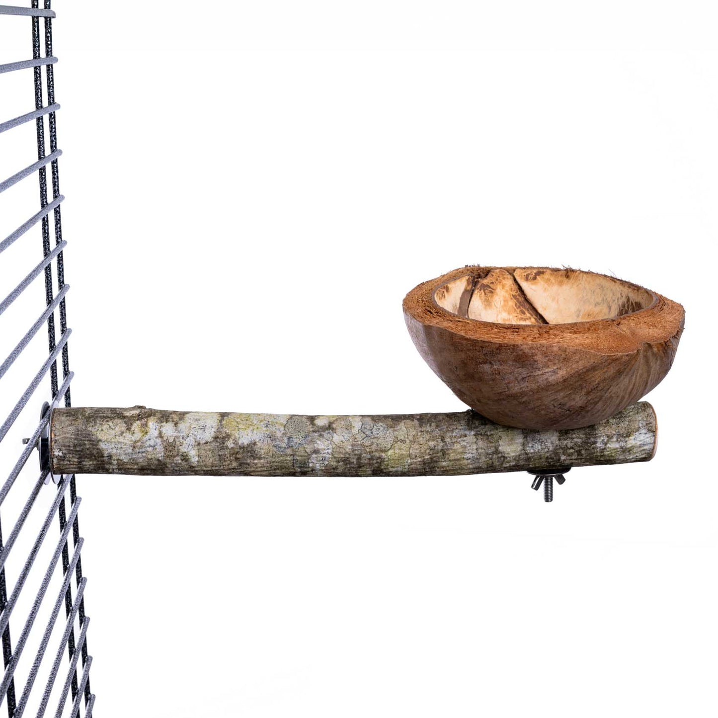 Sitzast mit Kokosnuss Futterschale für Papageien