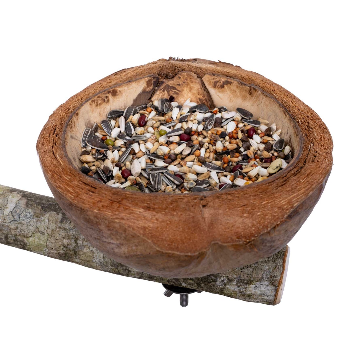 Sitzast mit Kokosnuss Futterschale für Papageien