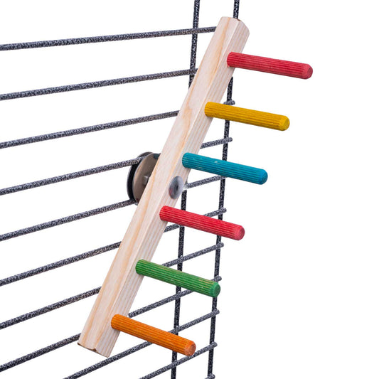 Wellensittich Leiter-Treppe – flexible Kletter- und Spielmöglichkeit