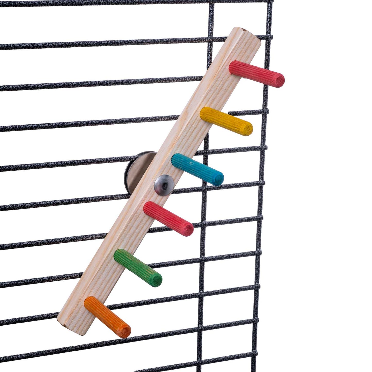 Wellensittich Leiter-Treppe – flexible Kletter- und Spielmöglichkeit