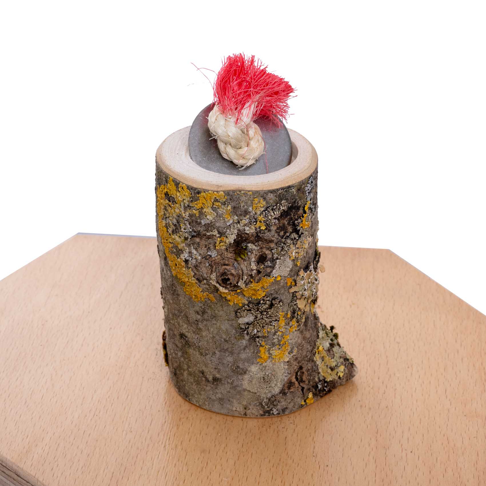 Leckerli-Töpfchen für Sittiche und kleine Papageien für Vario Freisitz