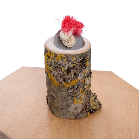 Leckerli-Töpfchen für Sittiche und kleine Papageien für Vario Freisitz