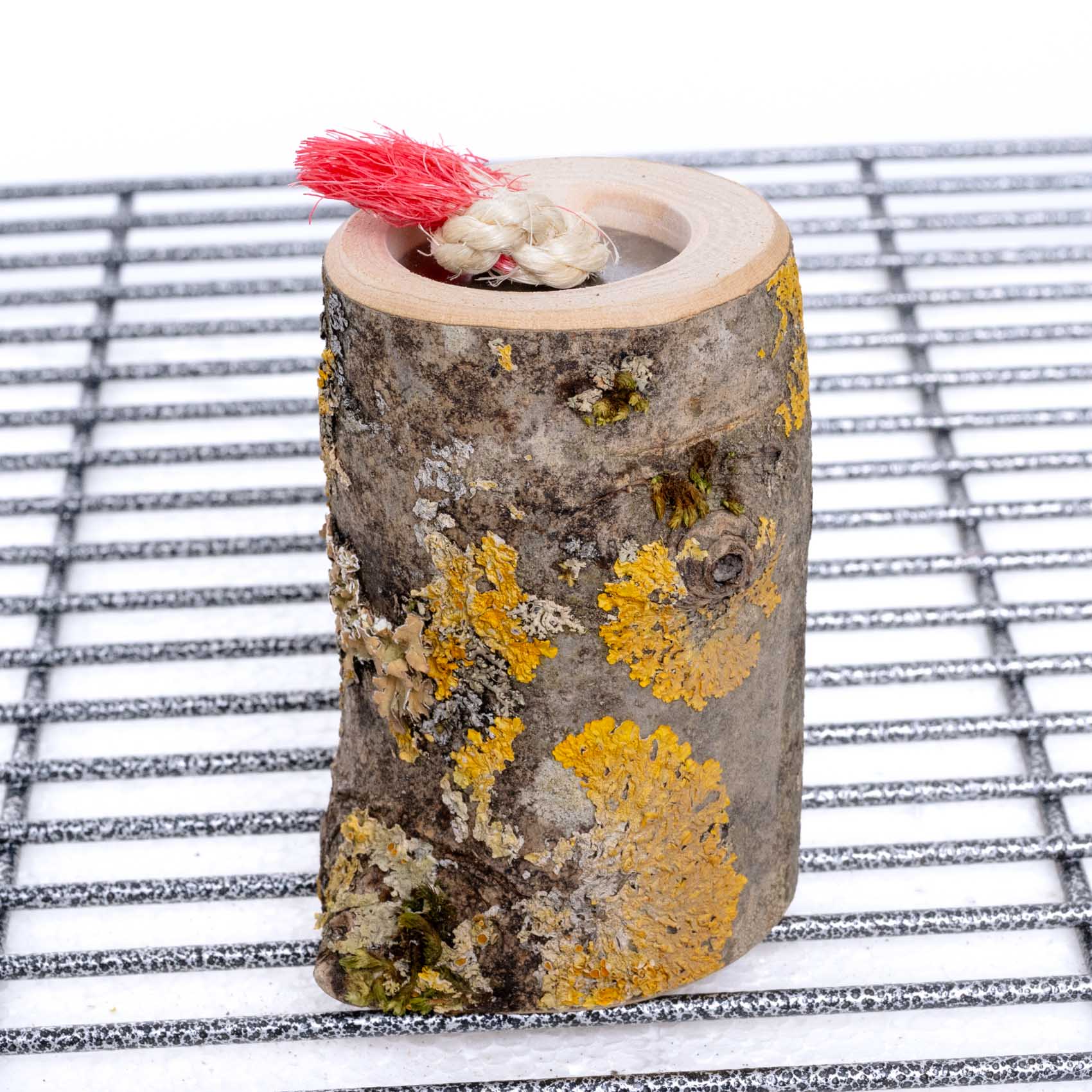 Leckerli-Töpfchen für Sittiche und kleine Papageien für Vario Freisitz