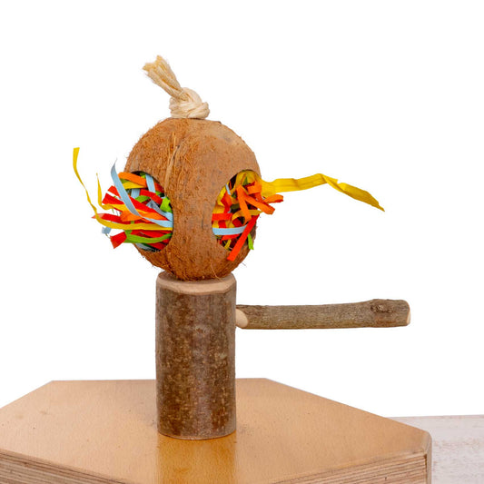 Sittichspielzeug Knabberbogen mit Schaukel und bunten Holzperlen