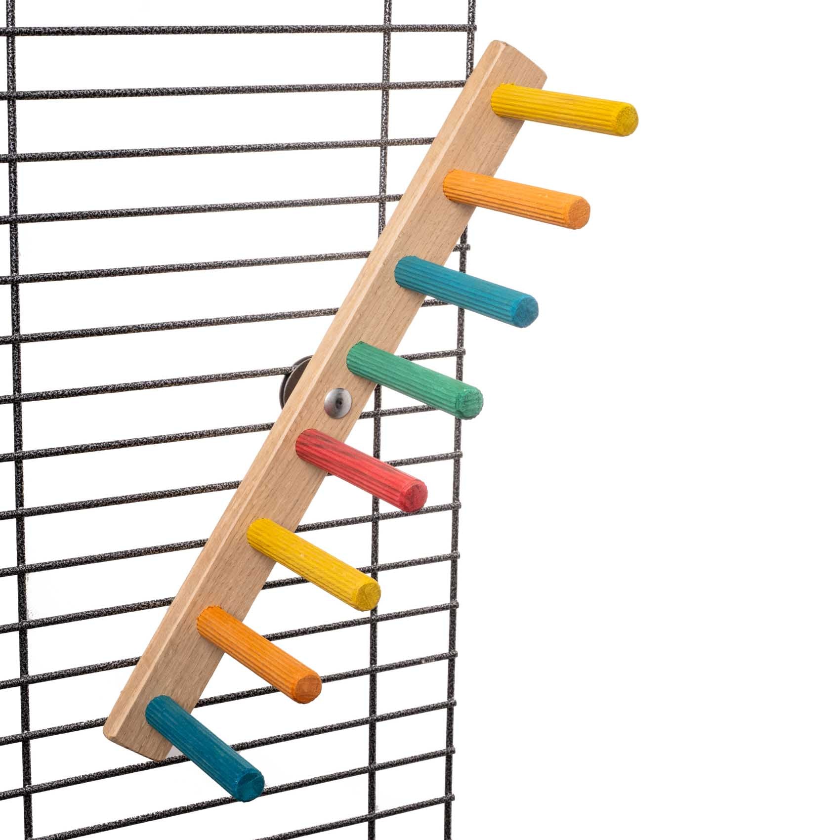 Leiter & Kletter-Treppe für Sittiche