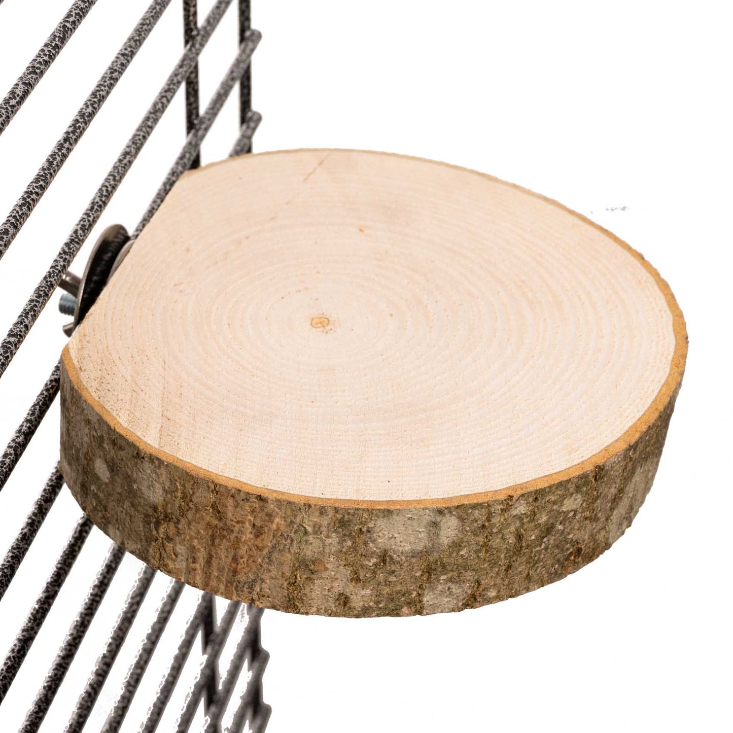 Baum-Sitzscheibe für Papageien "groß"