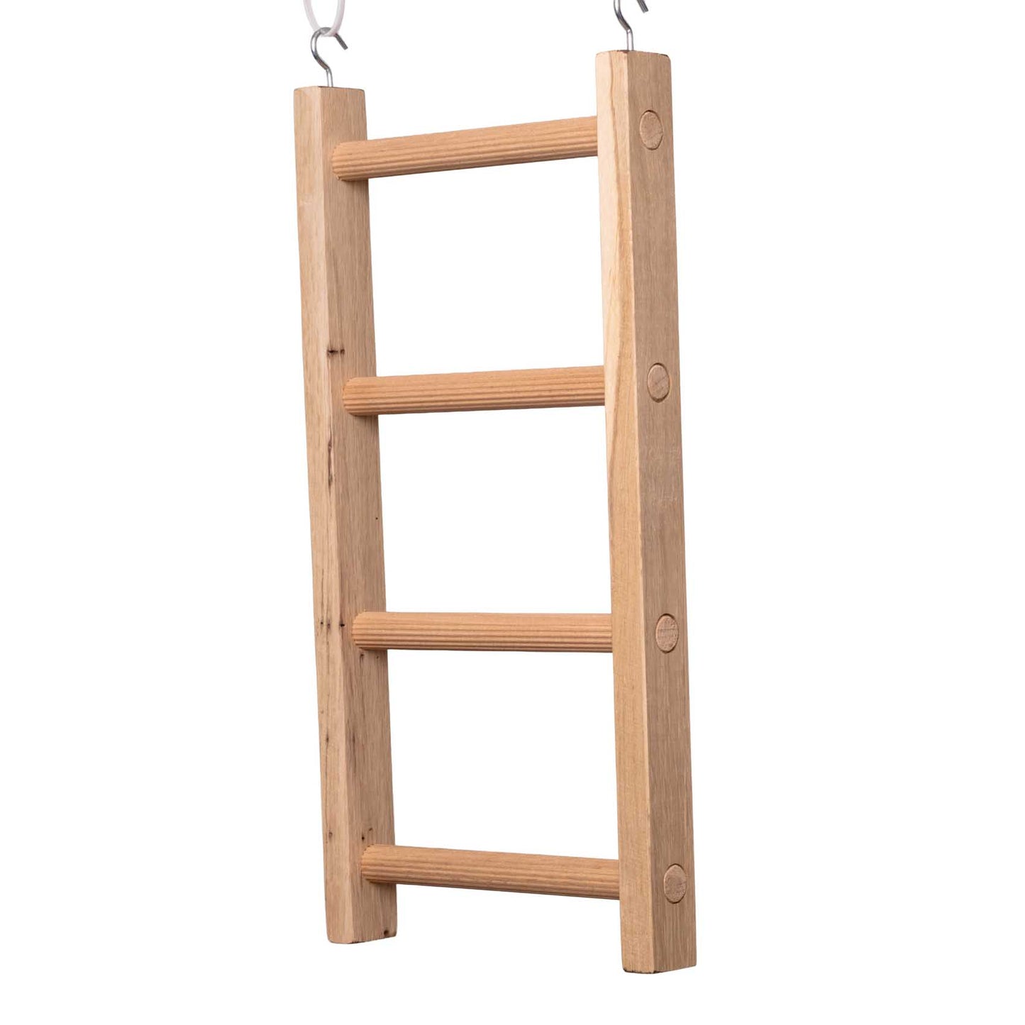 Sittichleiter mit 4 Sprossen – Kletterspaß für Großsittiche & kleine Papageien