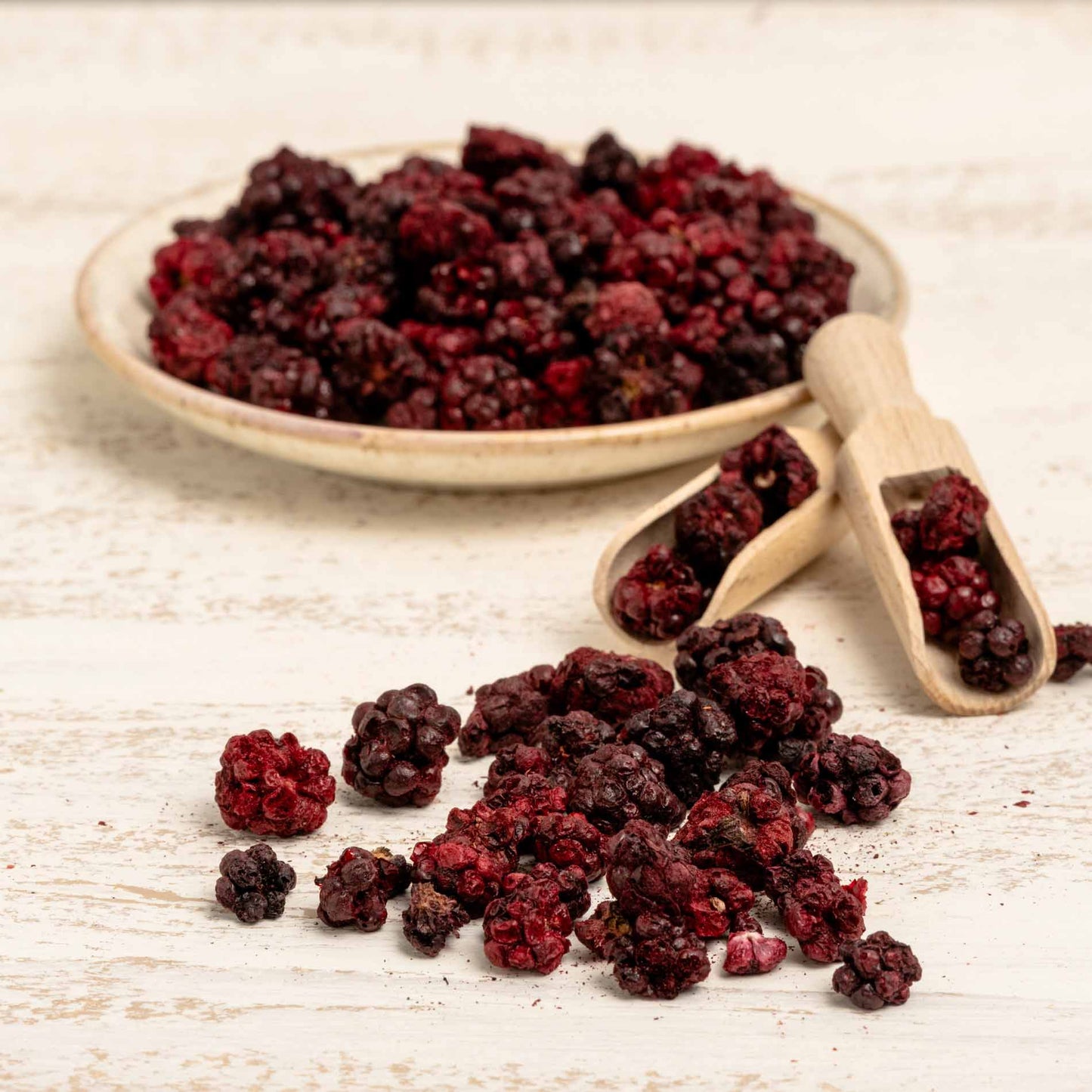 Brombeere (ganze Beere), gefriergetrocknet – Papageienfutter-Zusatzfuttermittel