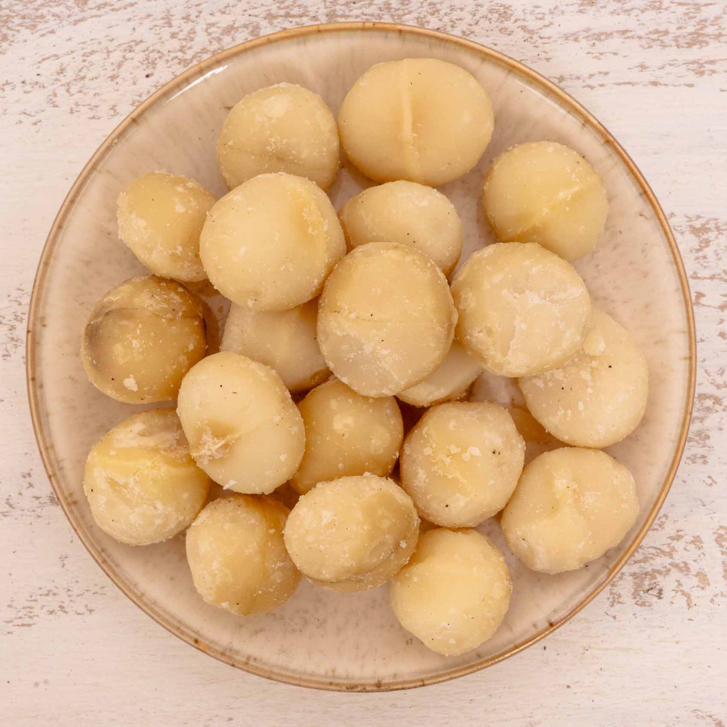 Macadamianusskerne – Papageienfutter