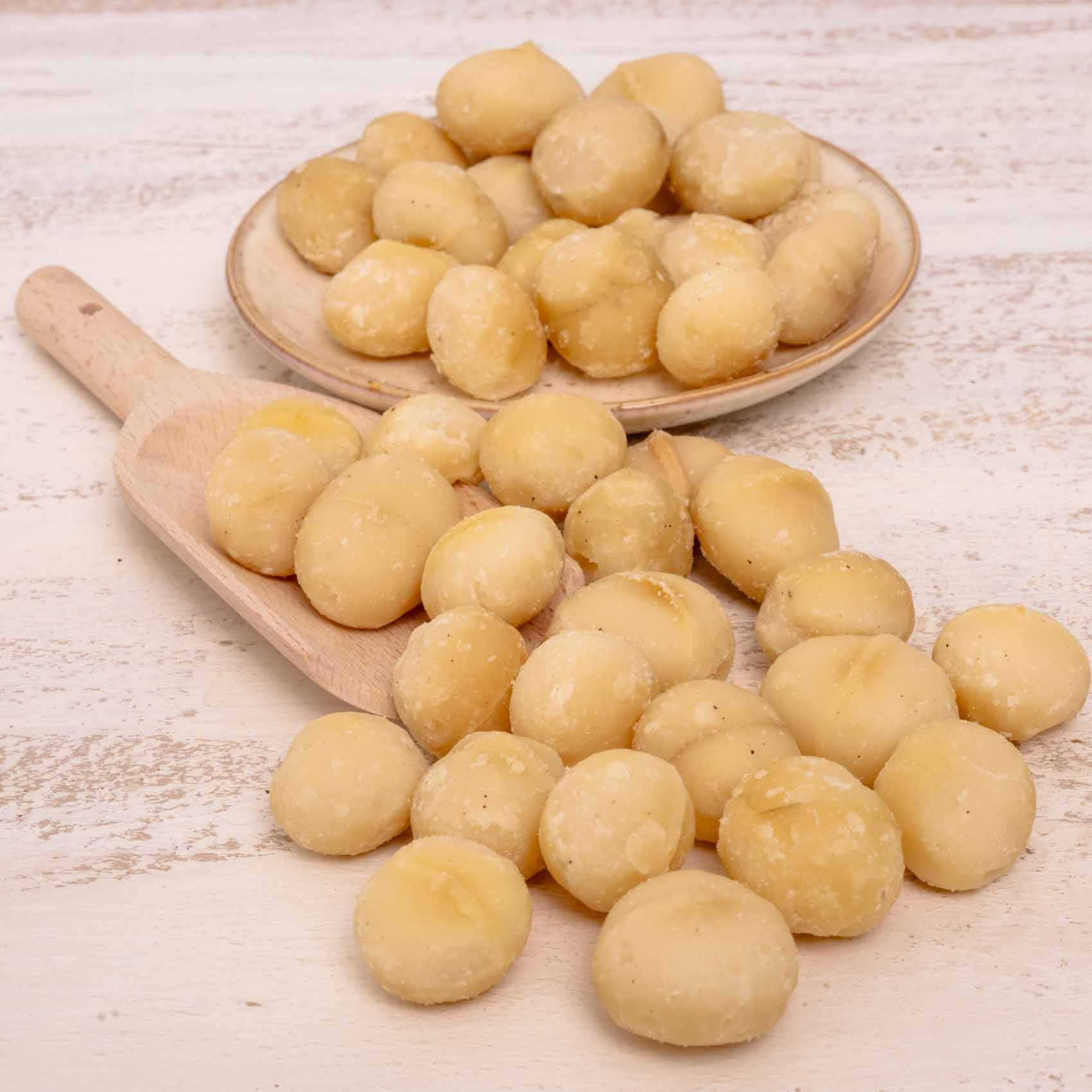 Macadamianusskerne – Papageienfutter