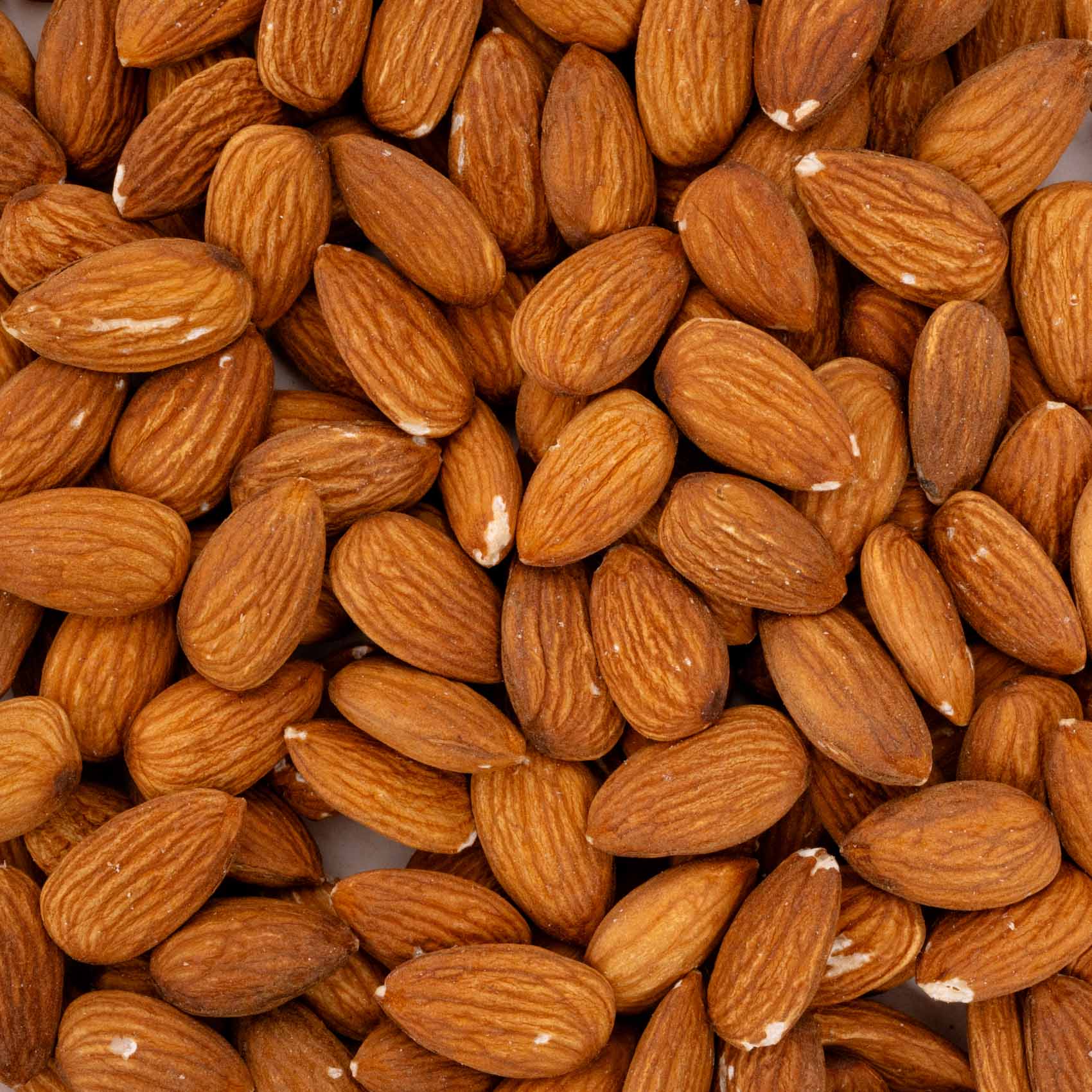 Süßmandelkerne – Mandelkerne ohne Schale – Papageienfutter