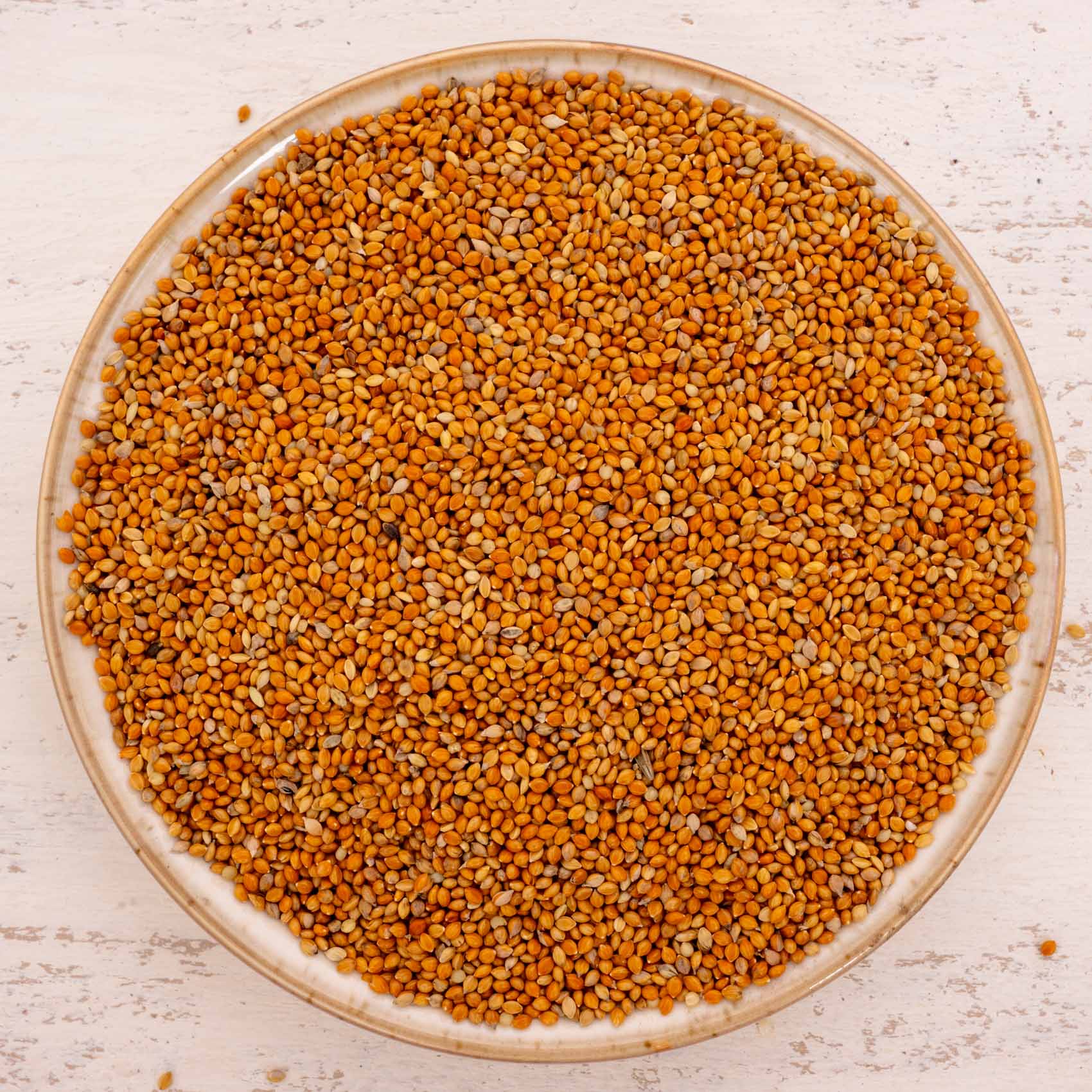 Mannahirse – lose – Papageien- und Sittichfutter