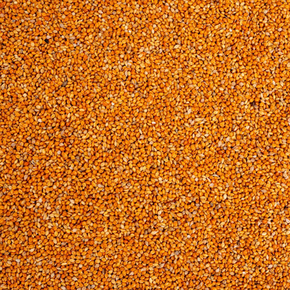 Mannahirse – lose – Papageien- und Sittichfutter