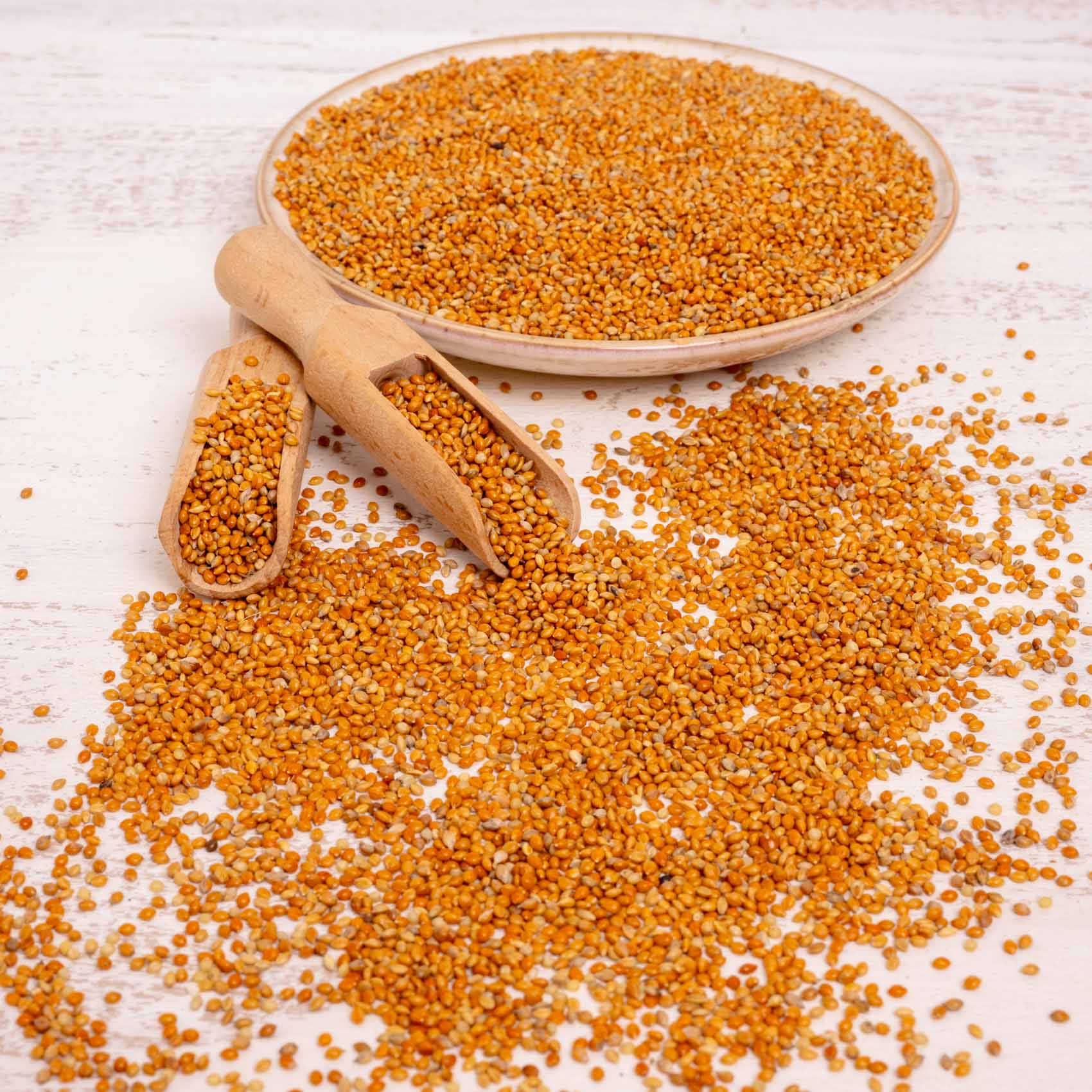 Mannahirse – lose – Papageien- und Sittichfutter