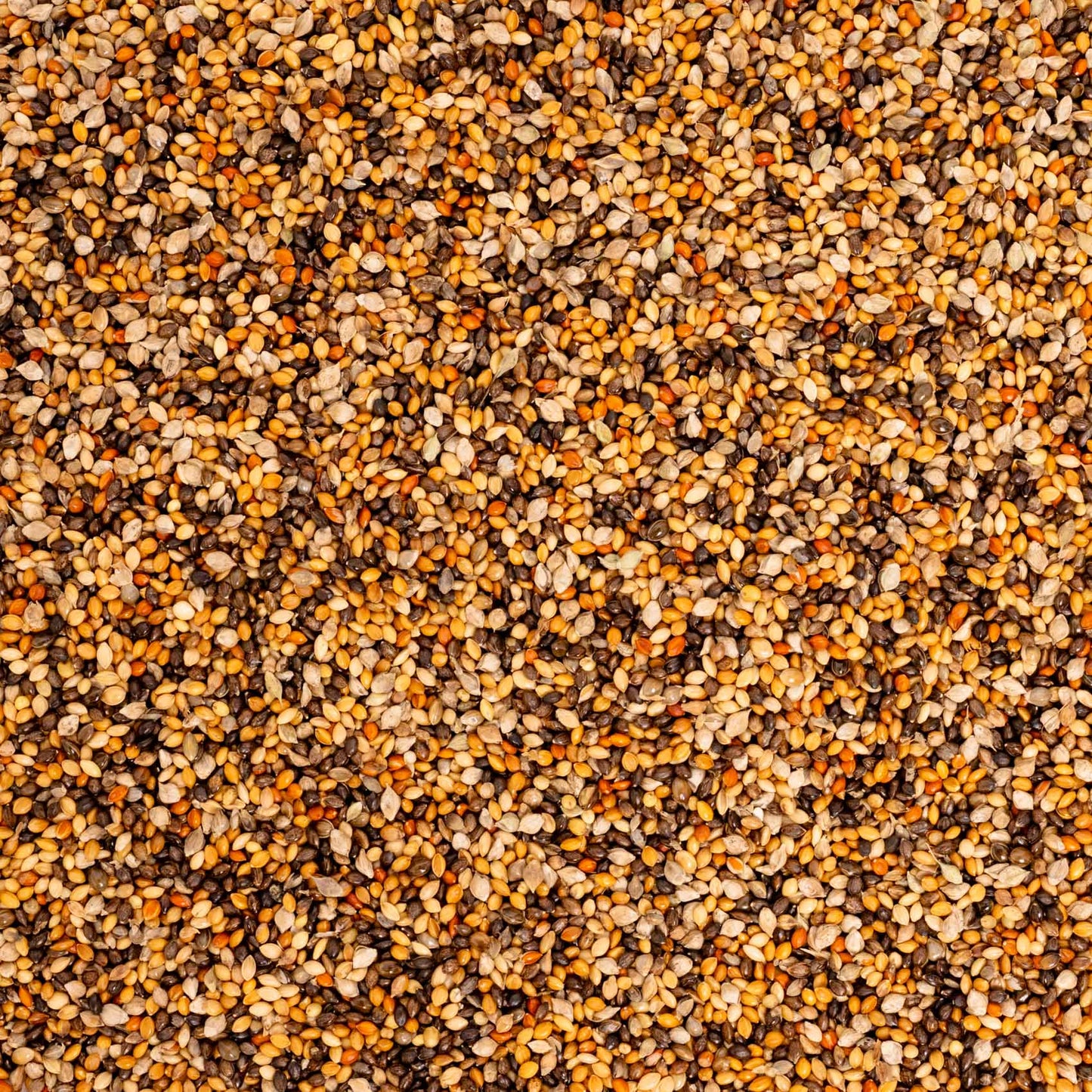 Mohairhirse (gelb) – Papageienfutter