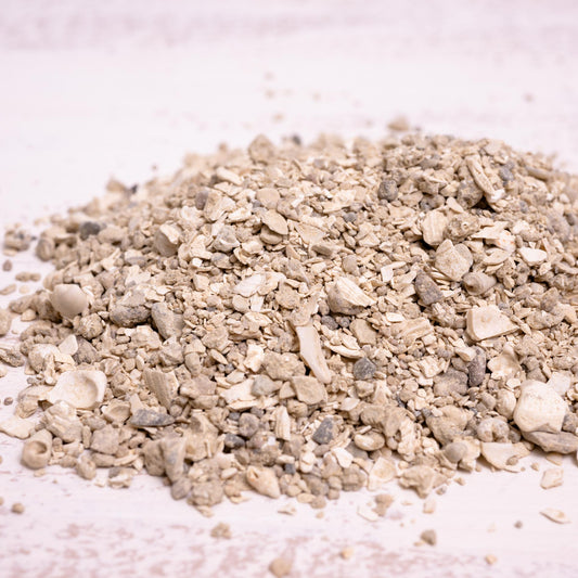 Muschelgrit mittel 1 kg –Ergänzungsfuttermittel