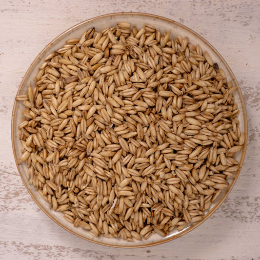 Nackthafer – Einzelsaat – Papageienfutter-Zusatzfuttermittel