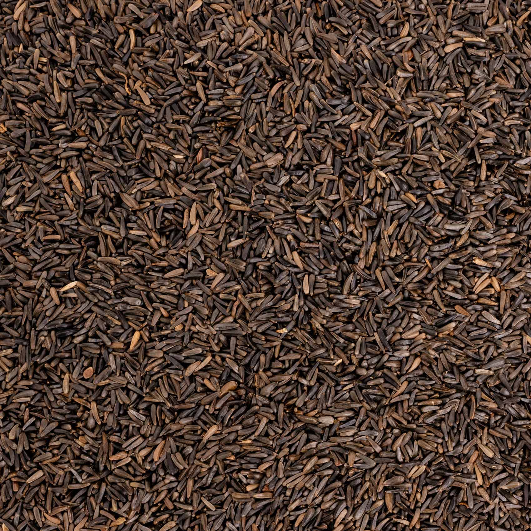 Nigersaat – Papageien- Sittichfutter