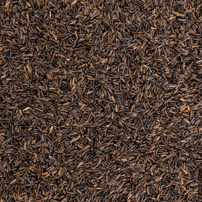 Nigersaat – Papageien- Sittichfutter