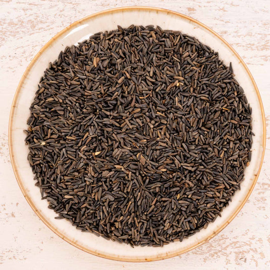 Nigersaat – Papageien- Sittichfutter