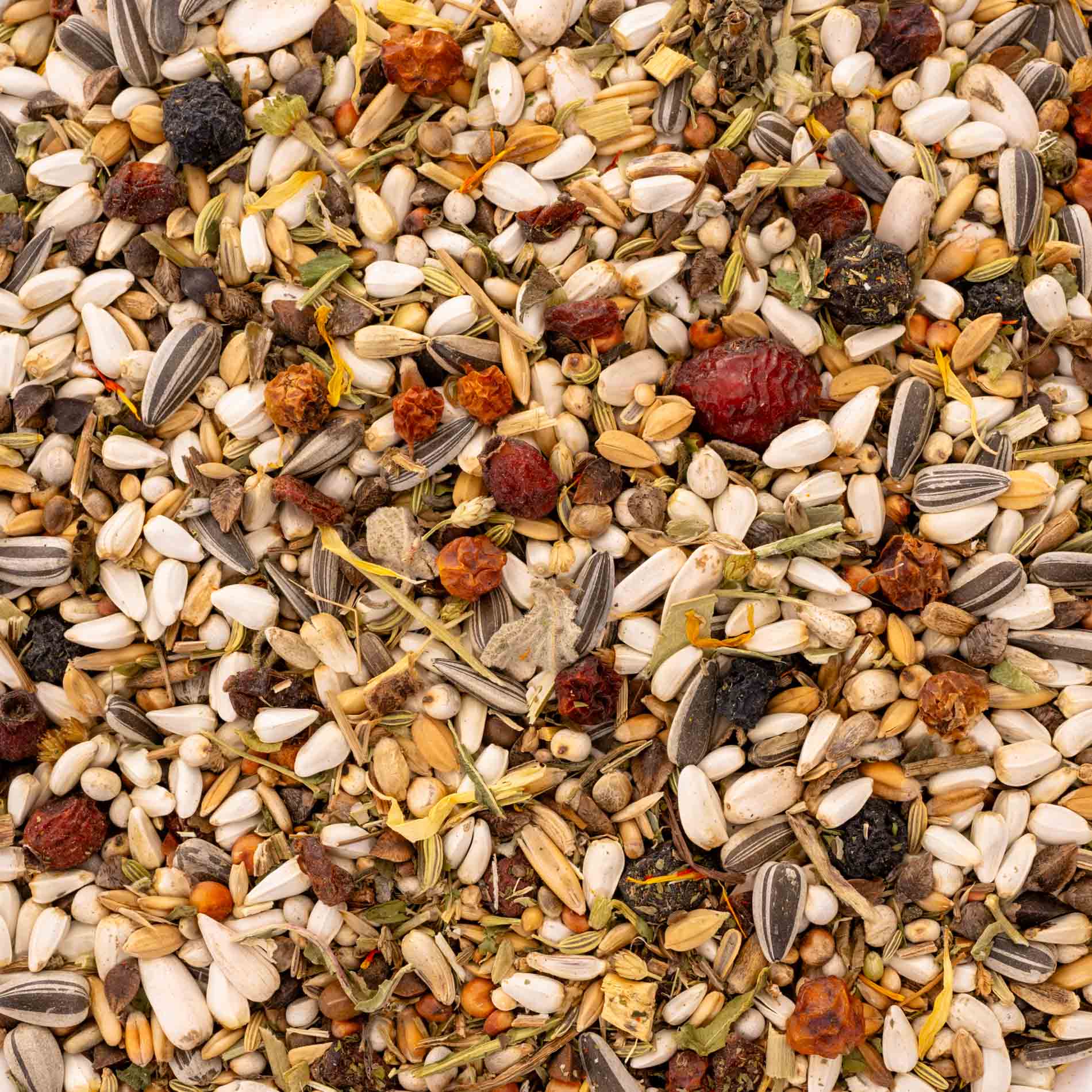 Kräuterapotheke für kleine Papageien – hochwertige Papageienfutter-Körnermischung mit Kräutern & Beeren