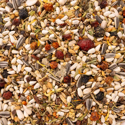 Kräuterapotheke für kleine Papageien – hochwertige Papageienfutter-Körnermischung mit Kräutern & Beeren