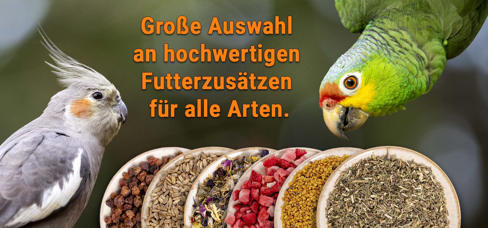 Zusätze für das Futter für Papageien und  für das Futter für Sittiche