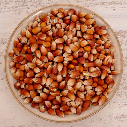 Perlmais rot (französisch) – Papageienfutter