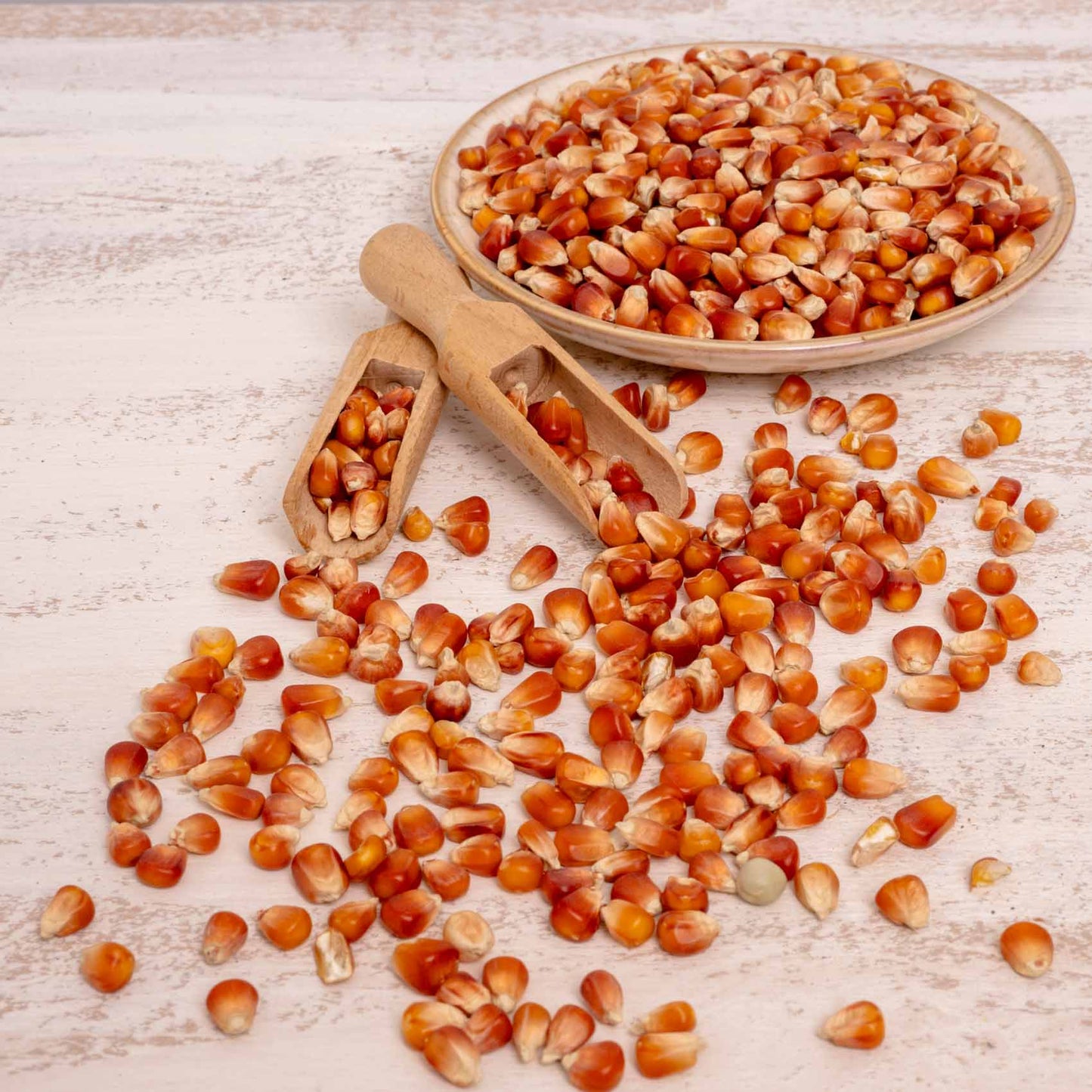 Perlmais rot (französisch) – Papageienfutter