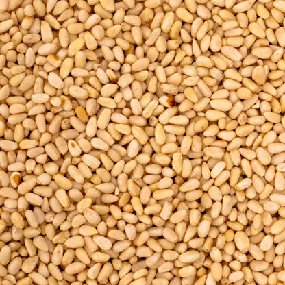 Pinienkerne China 100 g – Papageienfutter