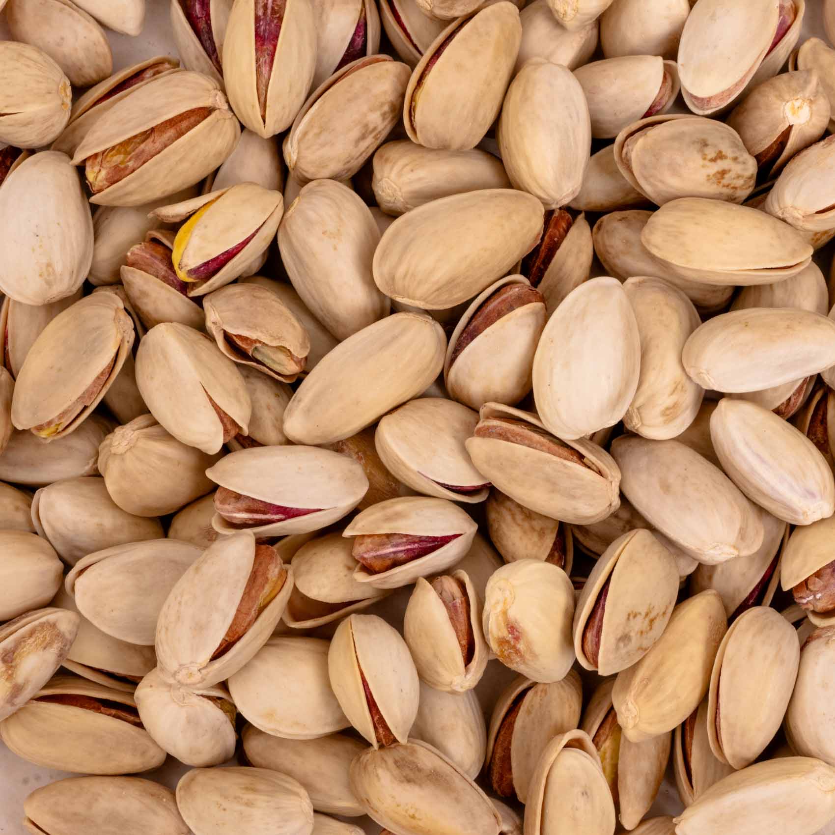 Pistazien natur mit Schale – Papageienfutter