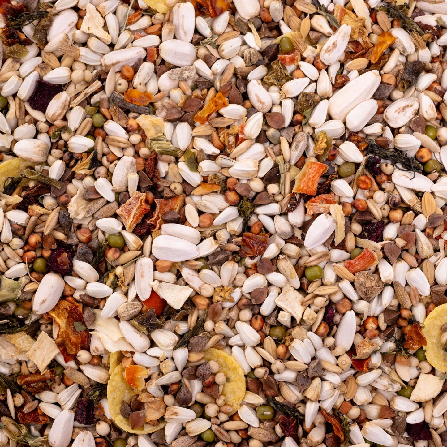 Papageienfutter mit Gemüse – Premium-Körnermischung