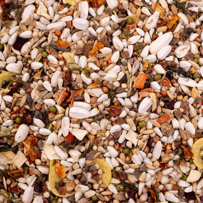 Papageienfutter mit Gemüse – Premium-Körnermischung