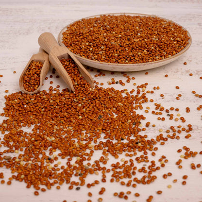 Rote Hirse – lose – Papageienfutter