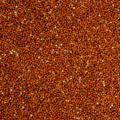 Rote Hirse – lose – Papageienfutter