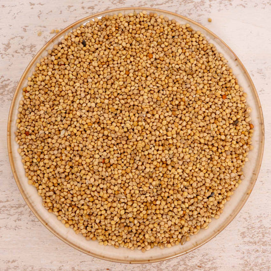 Senegalhirse (feinkörnig) – Papageien- und Sittichfutter