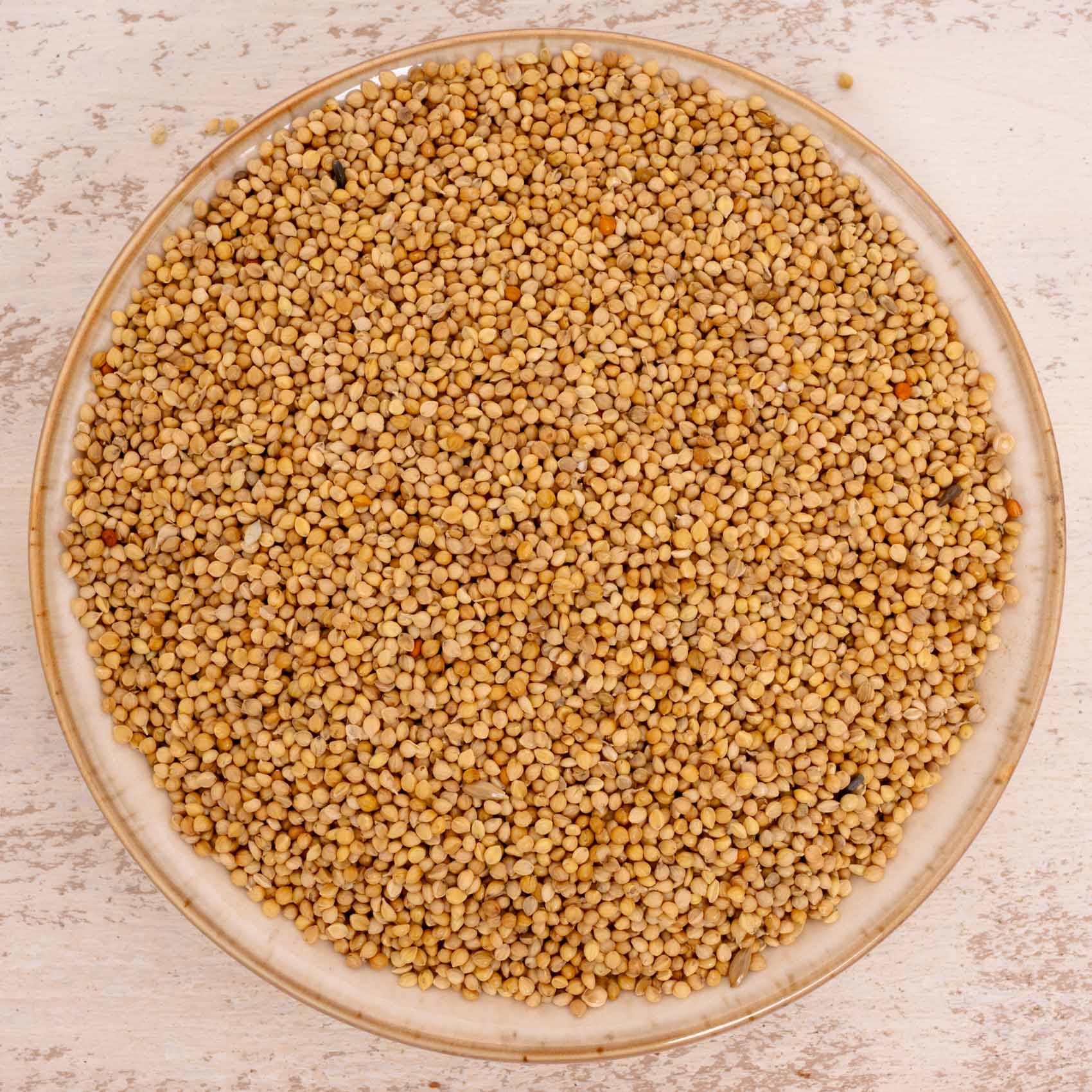 Senegalhirse (feinkörnig) – Papageien- und Sittichfutter