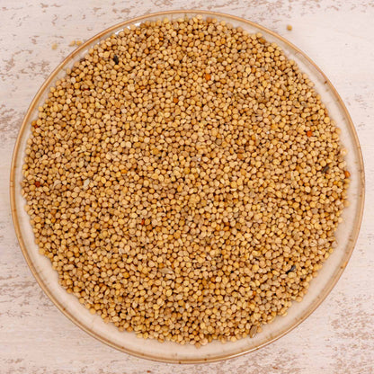 Senegalhirse (feinkörnig) – Papageien- und Sittichfutter
